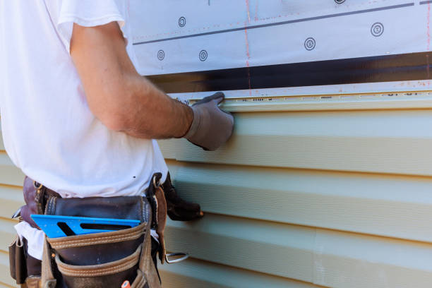 Best Vinyl Siding Installation  in Owosso, MI