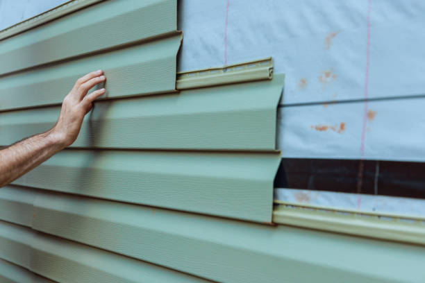 Best Insulated Siding Installation  in Owosso, MI